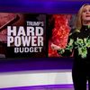 Video: Samantha Bee Has The Perfect Metaphor For Trump's Budget